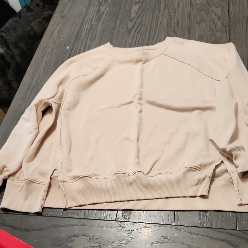 American Eagle Outfitters Beige Lived-In Sweatshirt Oversized